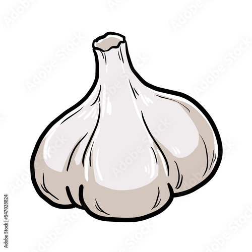 Simple and realistic garlic illustration