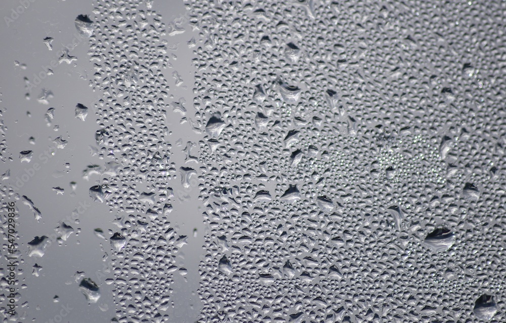 water drops on the window water drops on the window