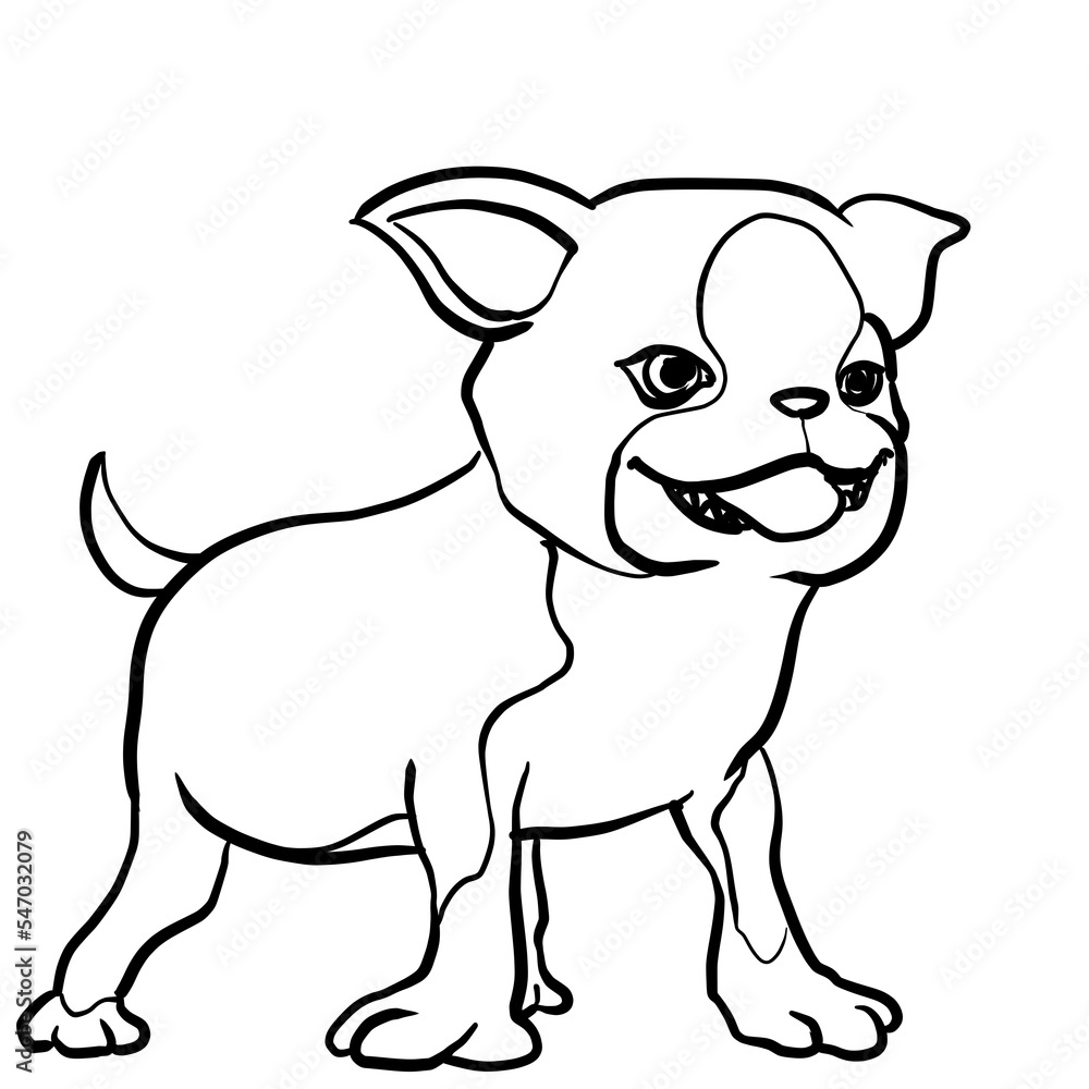 Simple and realistic dog Boston Terrier line drawing Simple and realistic dog Boston Terrier line drawing