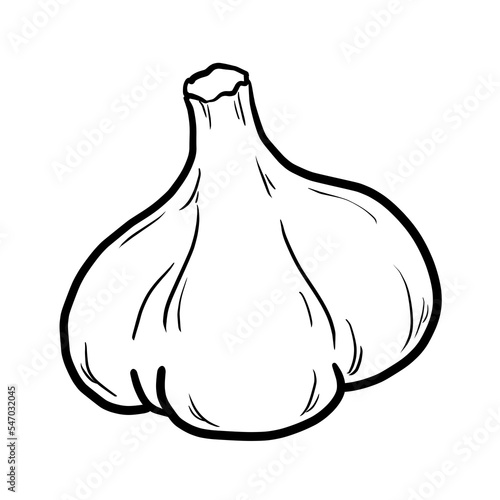 simple garlic line drawing