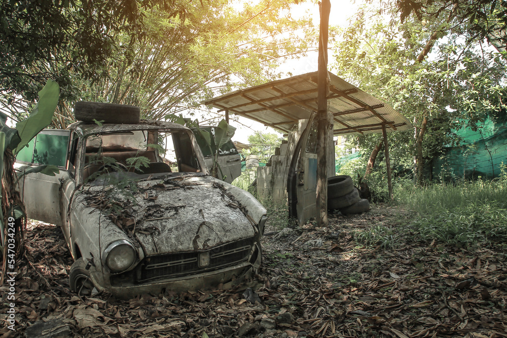 Old abandoned car in the woods forest Old abandoned car in the woods forest