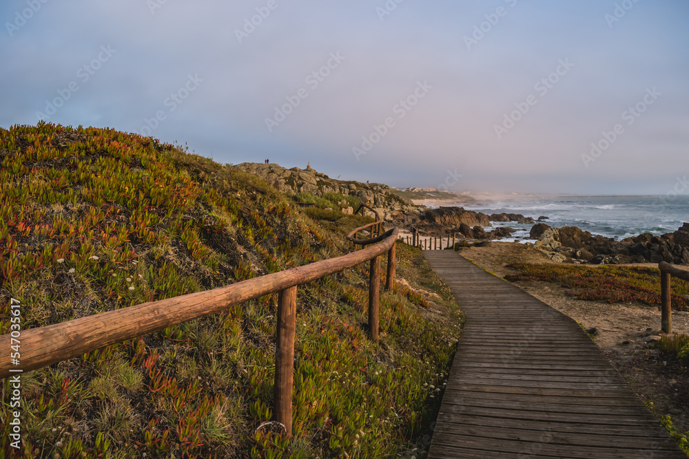Obraz premium Wooden walkway with hill with fence and carpobrotus edulis cactus, footpath in seascape at São Paio beach, cliffs and fog on horizon at evening, Labruge PORTUGAL