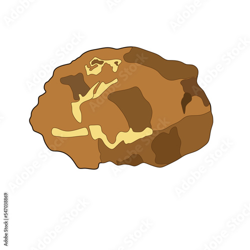 Brown igneous rock sample geologist