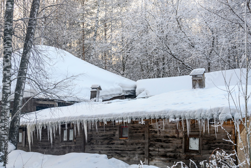 An old wooden house and stable with icicles on the roof in a birch snow-covered forest in winter