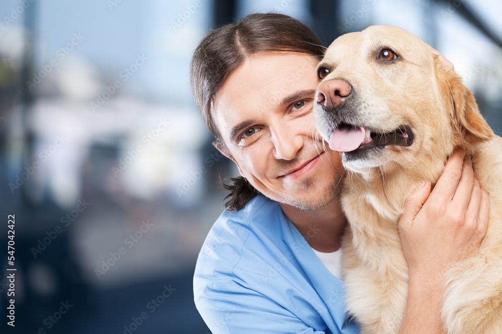 Happy cute dog and vet doctor in hospital Happy cute dog and vet doctor in hospital