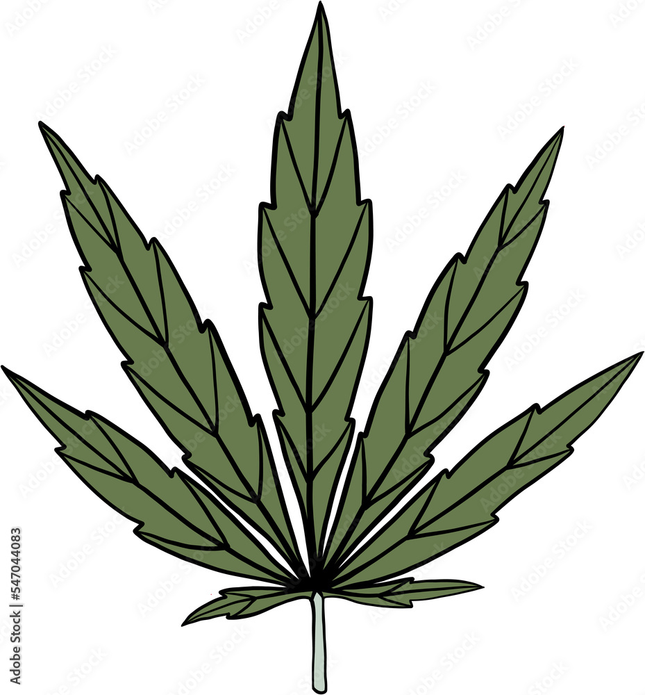 simplicity cannabis leaf freehand drawing. simplicity cannabis leaf freehand drawing.