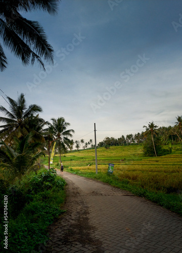 Beautiful landscape of villages around Banyuwangi city, East Java, Indonesia.