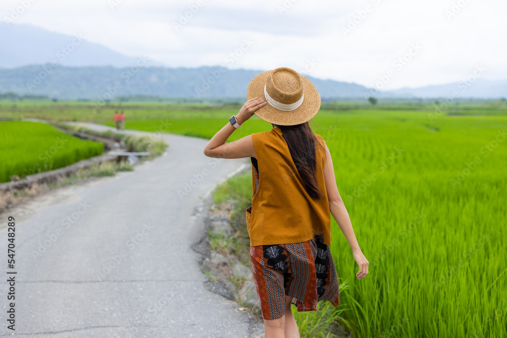 Woman traveler enjoy the view of paddy field in Yuli of Taiwan