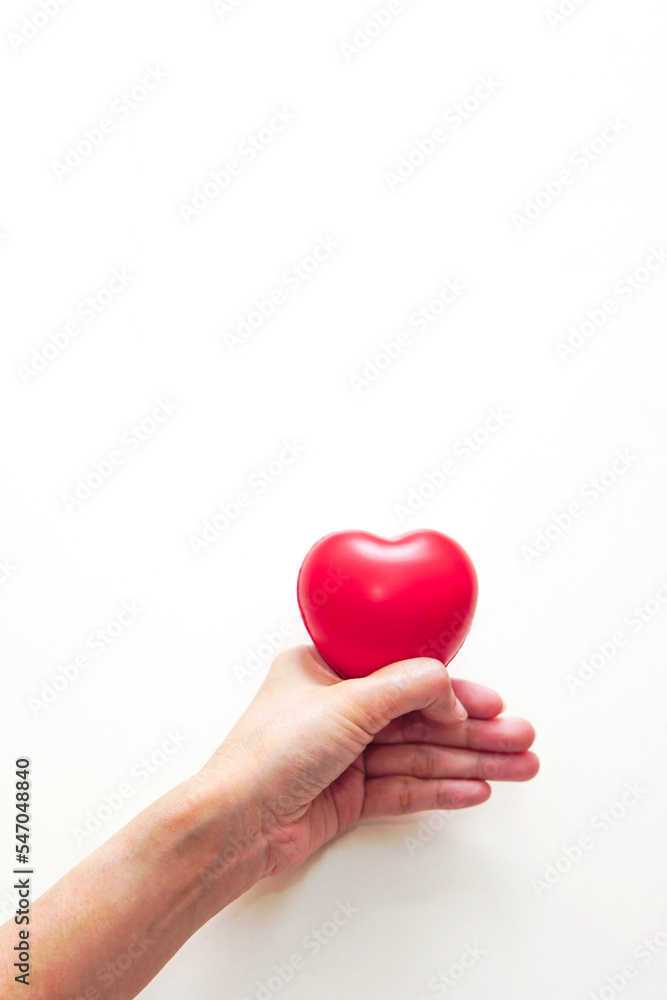 Hand of woman holding red heart on white background. Care, health, insurance and love day concept. Hand of woman holding red heart on white background. Care, health, insurance and love day concept.