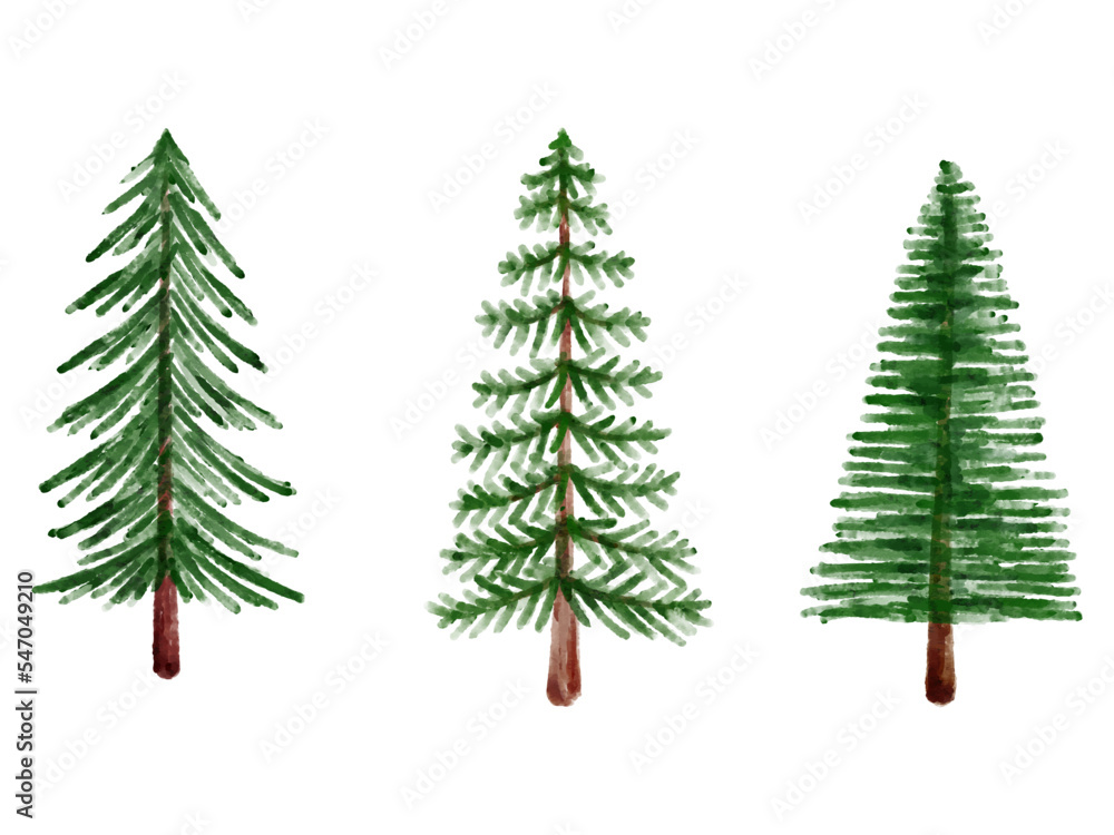 Christmas Pine Tree Watercolor