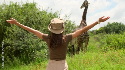 girl traveler spreads her arms and looks at the giraffe in the savannah. a woman tourist in safari clothes travels alone in africa and waves her hand to a giraffe in africa national park. photo