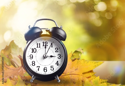 Retro alarm clock and dry leaves on desk