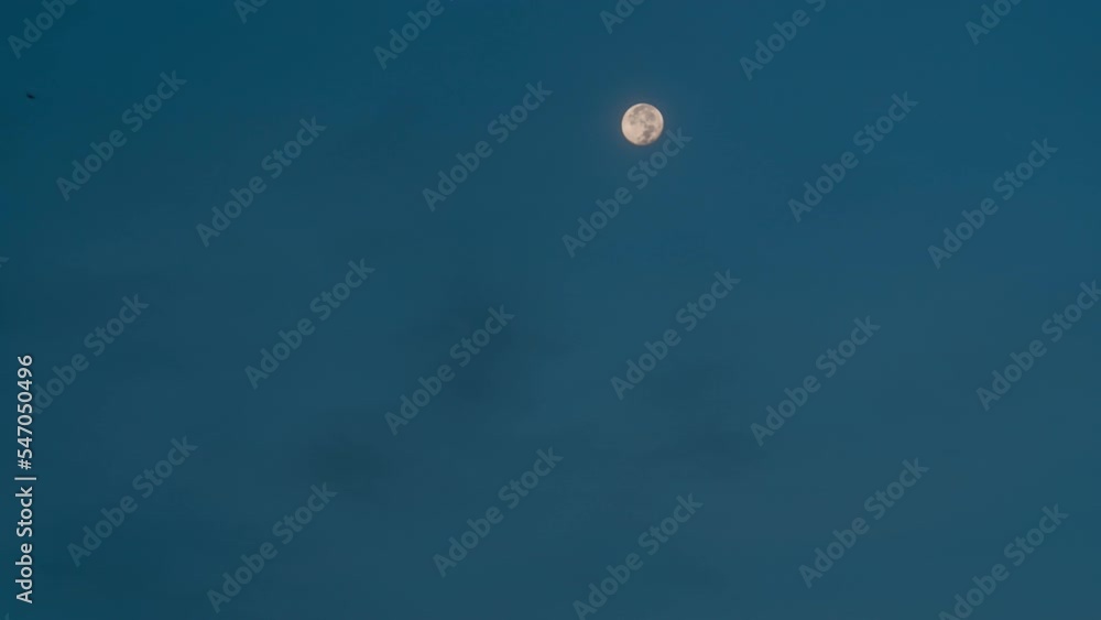 Full Moon setting in the blue morning sky. 4K time-lapse. Full Moon setting in the blue morning sky. 4K time-lapse.