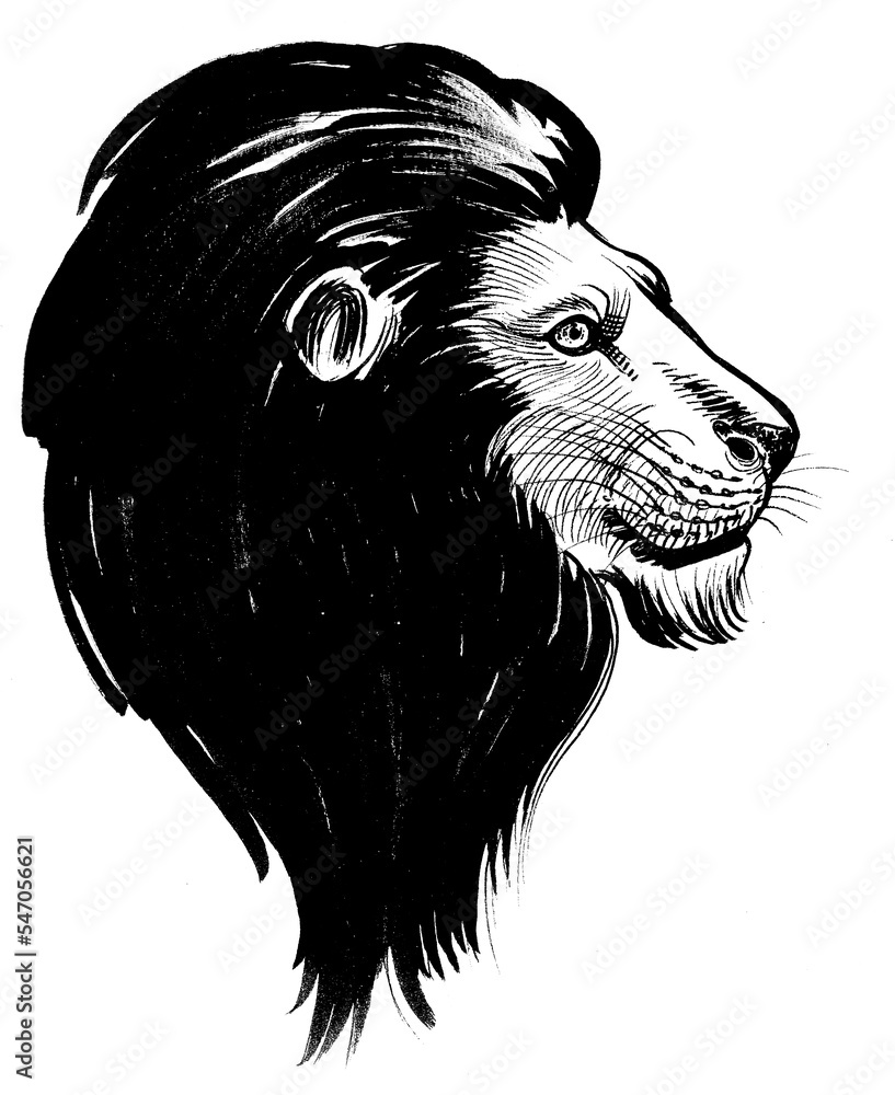 Lion head with black mane. Ink black and white drawing Stock ...