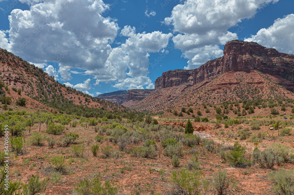 Salt Creek Canyon view from Unaweep-Tabeguache scenic byway (Mesa County, Colorado, USA)