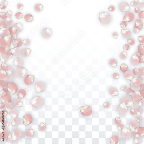 Pink Vector Realistic Petals Falling on Transparent Background. Spring Romantic Flowers Illustration. Flying Petals. Sakura Spa Design. Blossom Confetti. Design Elements for Wedding Decoration.