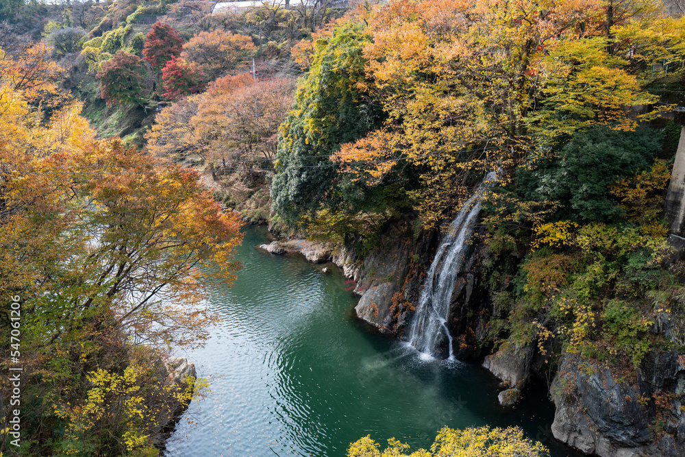 高津戸峡の紅葉