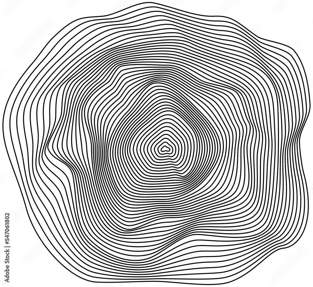 Abstract tree rings. Topographic map concept background. Thin black lines on white.