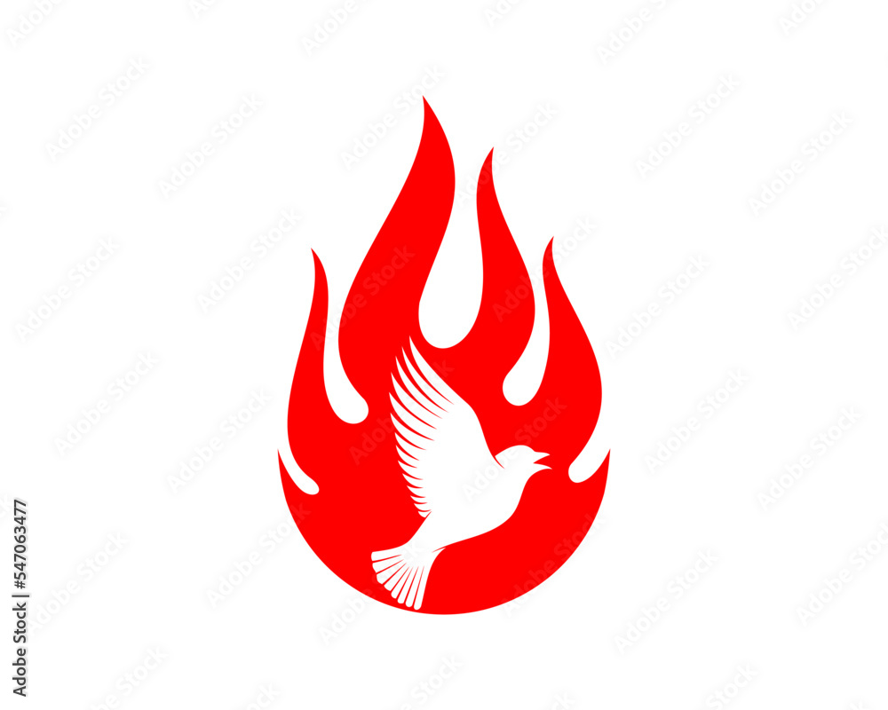 Fire with bird silhouette inside Fire with bird silhouette inside