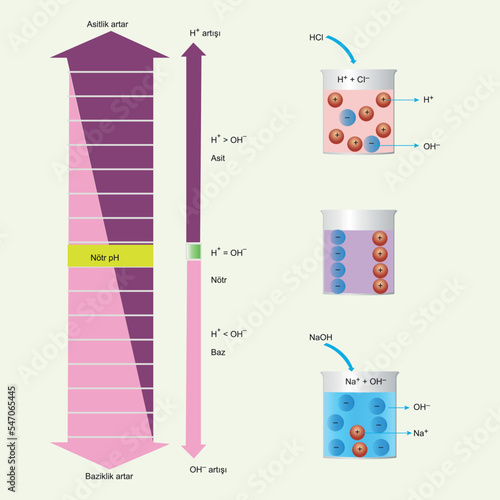 Acidity-Basicity Chart Biology shape vector
