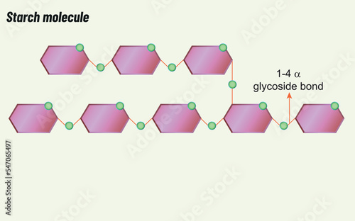 Chain molecule, Biology shape vector