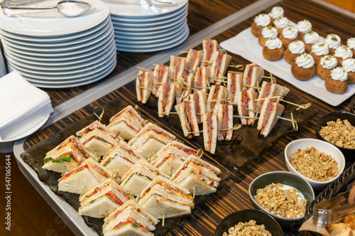 Appetizing sandwiches and snacks on the buffet table. Close-up. Business meetings and celebrations.
