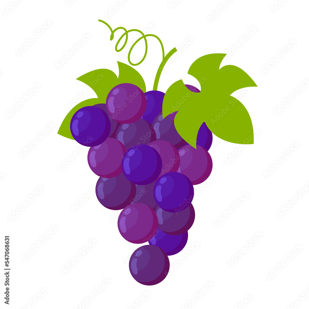 grapes flat vector illustration isolated clipart grapes flat vector illustration isolated clipart