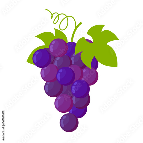 grapes flat vector illustration isolated clipart