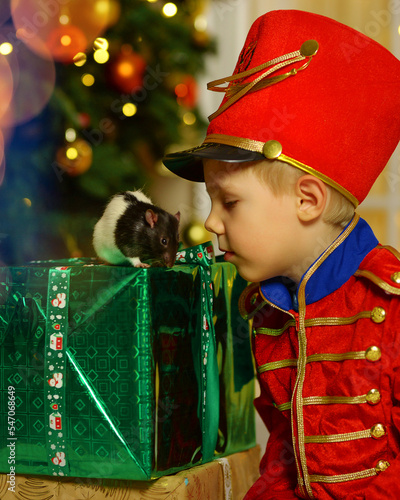 A boy in a nutcracker costume plays with the mouse symbol of the year. christmas tree and gifts