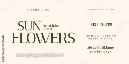 Elegant and modern serif alphabet font uppercase and numberfonts victorian typeface 