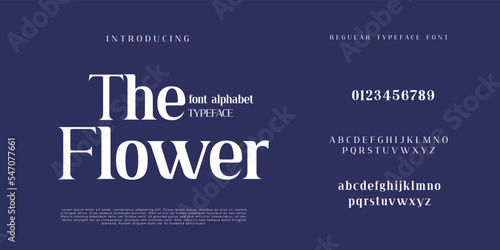 Elegant and modern serif alphabet font uppercase and numberfonts victorian typeface 