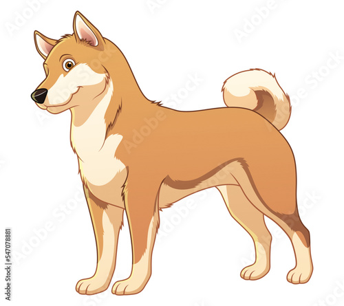 Shiba Inu Dog Cartoon Animal Illustration