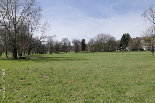 Blick in den Kurpark von Bad Salzhausen	 photo