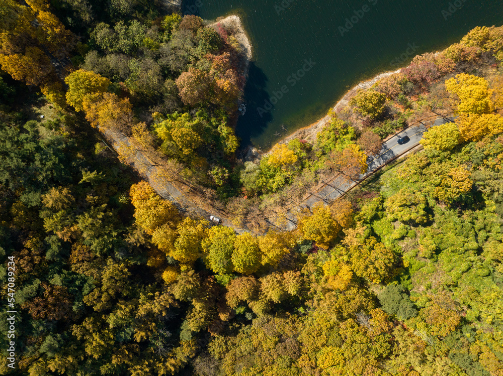 Cars are passing by the lakeside road colored with autumn leaves. 가을, 단풍, 도로, 자동차, 호수
