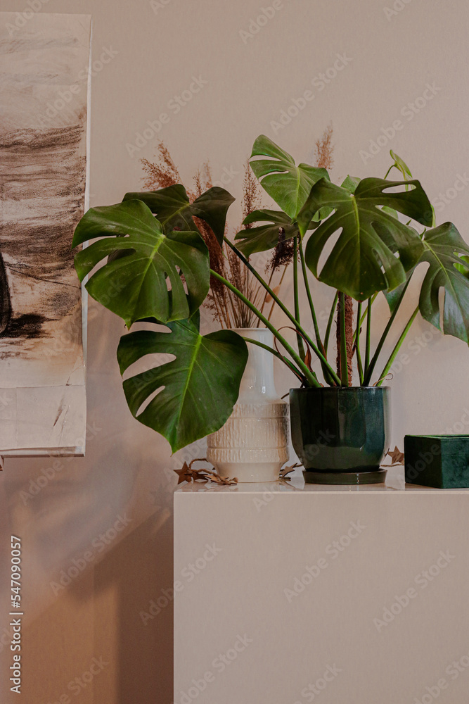 mieszkanie, dom, wnętrze, projekt, projektant, rośliny, rośliny doniczkowe, monstera, doniczka, cegła, ozdoby, wazon, szkło, zasłona, firana, ikea, stół, stolik, jadalnia, krzesła, kuchnia, salon,