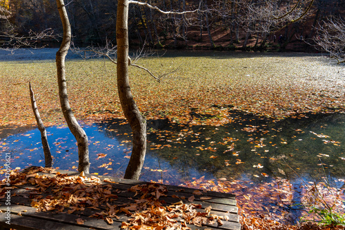 Autumn landscape beautiful colored trees   autumn leaves over the lake  glowing in sunlight. wonderful picturesque background. Colors in nature gorgeous view. Yedig  ller  Bolu  Turkey