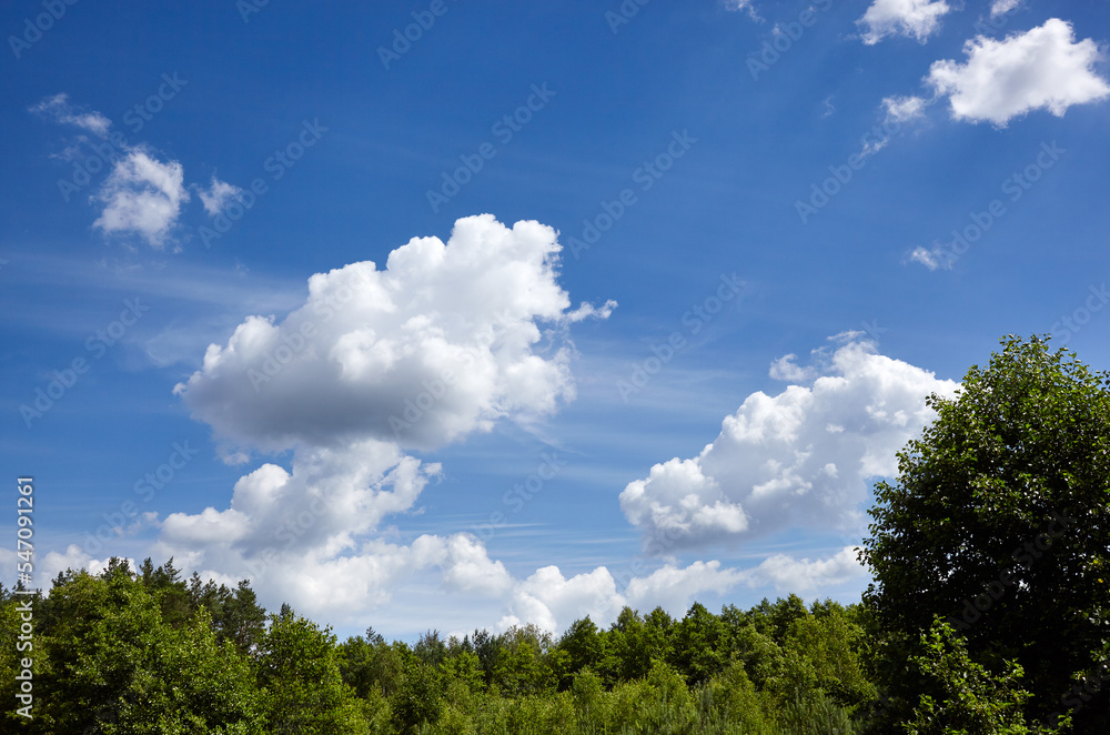 Blue sky background with cumulus clouds against the green trees. Beautiful summer rural landscape Blue sky background with cumulus clouds against the green trees. Beautiful summer rural landscape