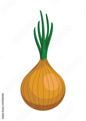 brown onion food vegetable plant fresh ingredient garlic vector illustration organic nature leaf natural agriculture onions