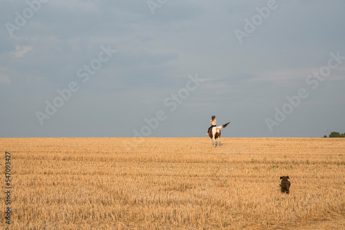 Wallpaper Mural Dog chasing girl horseback riding in sunny, rural farm field
 Torontodigital.ca