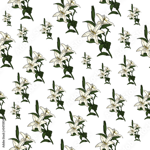 seamless pattern drawn white lily flowers with green leaves. cartoon sketch on a white background