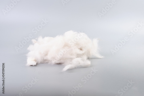 A lump of cat hair on a gray isolated background.
