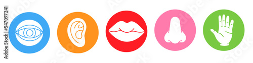 Five human senses. Vision, smell, hearing, touch, taste icons. Vector illustration. Eye, nose, ear, hand, mouth icon set. Human sensory organs set