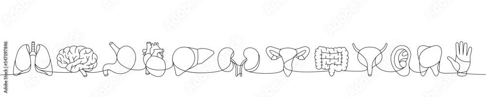 Set of human organ one line continuous drawing. Lungs, brain, stomach, tooth, bladder, liver, kidneys, intestines, ear, hand one line illustration. Set of human organ one line continuous drawing. Lungs, brain, stomach, tooth, bladder, liver, kidneys, intestines, ear, hand one line illustration.