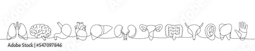 Set of human organ one line continuous drawing. Lungs, brain, stomach, tooth, bladder, liver, kidneys, intestines, ear, hand one line illustration.