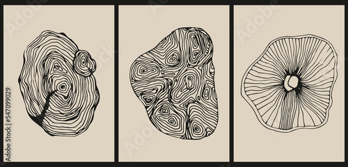 A set of three minimalistic illustrations with thin lines, strokes. Vintage abstract poster with a piece of log. Natural black and beige background with wood texture. 