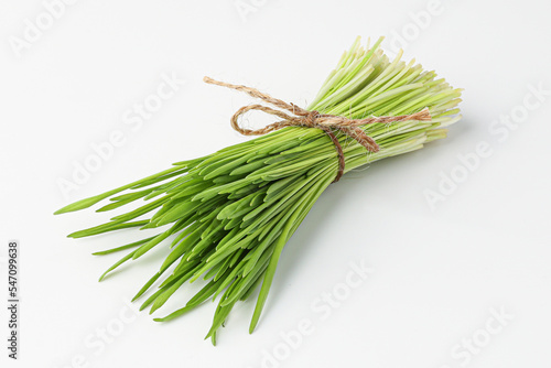 barley grass, sprout barley isolated on white background