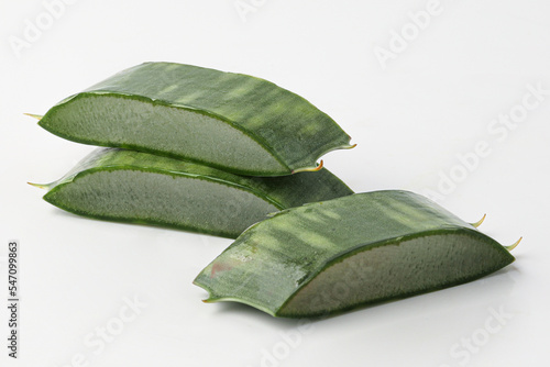aloe, aloe leaves isolated on white background