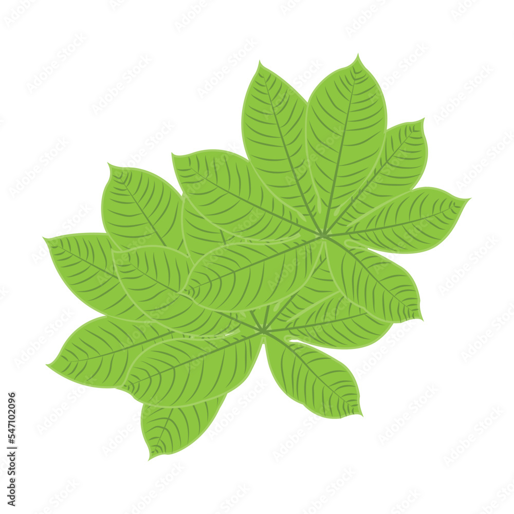 Leaf Logo Green Plant Design Leaves Of Trees Product Brand Template Illustration Leaf Logo Green Plant Design Leaves Of Trees Product Brand Template Illustration