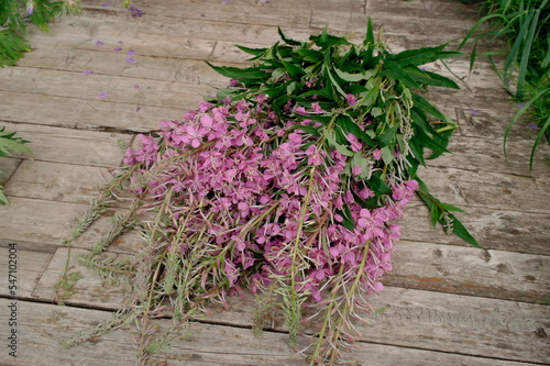 a bouquet of fireweed or Ivan tea on a wooden surface