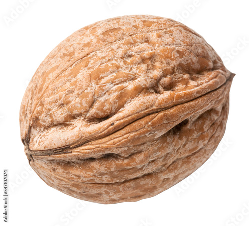 walnut isolated